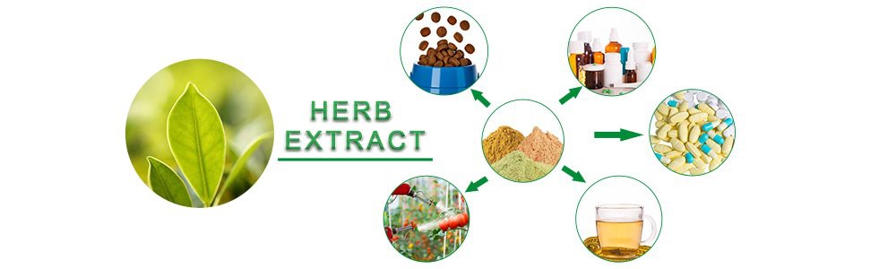 herb extract.jpg